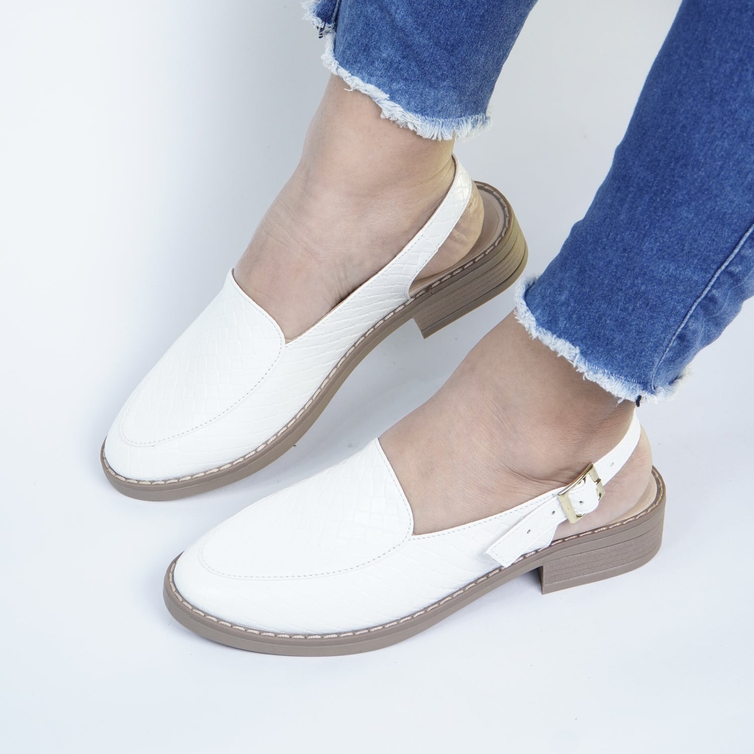 C2-10150 Guadua_ Monik Ch