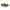 D8-35441 Rastas-Eva