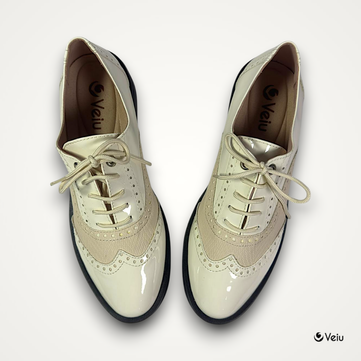 G2-28621 Charol x Dream_Ximena